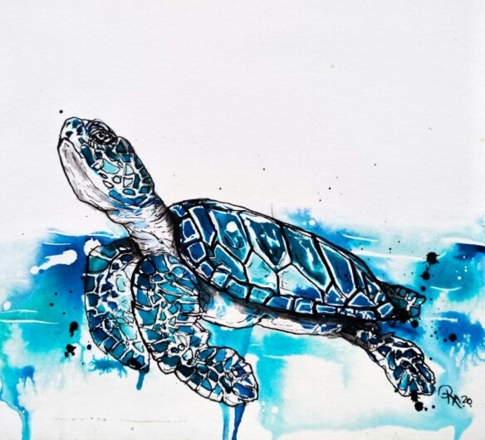 Baby Turtle – Success – KAB Gallery